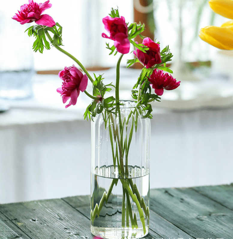 Stripes Clear Bud Vases, Borosilicate Light Weight Glass - HER Home Design Boutique